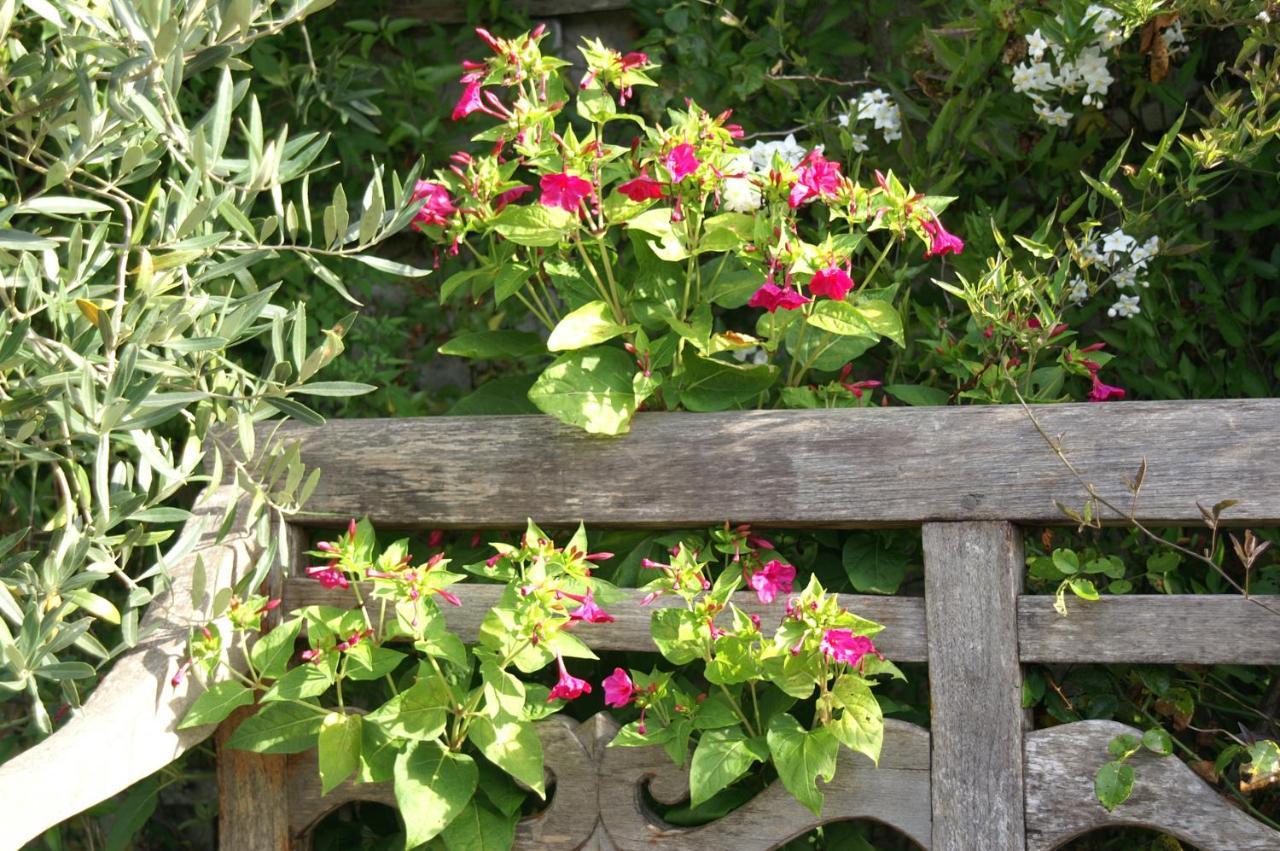 Giverny Cottage Saint-Coulomb Esterno foto
